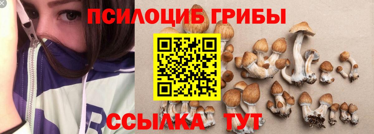 Галлюциногенные грибы Psilocybine cubensis  Вход с VPN  цены наркотик  Елизово 